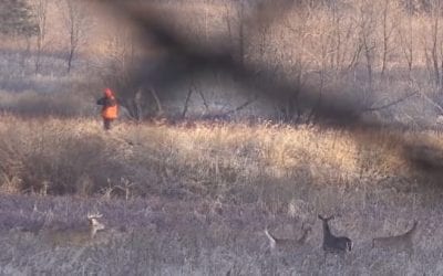 Public Land Hunter Films Idiot Shooting Right at Him