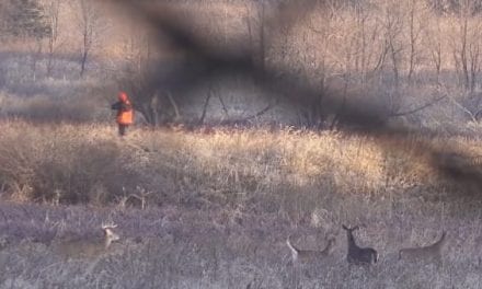 Public Land Hunter Films Idiot Shooting Right at Him