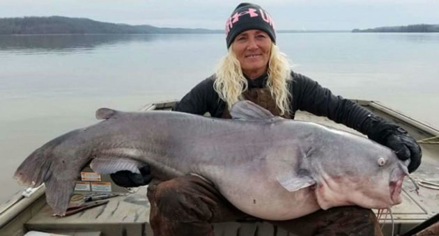 monster catfish