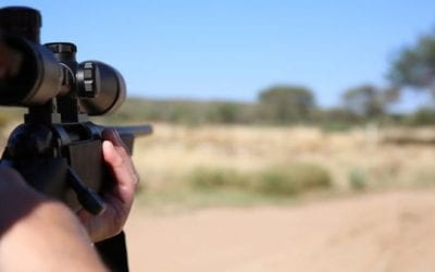 The 6 Best Rifles for Hunting Africa