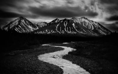 The Clearest Path To Black & White