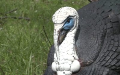 This Turkey Decoy Strategy Will Help Anyone Tag Out
