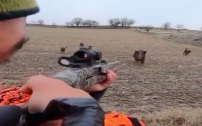 Wild Boar Hunting: Make the Shot or Pay the Price