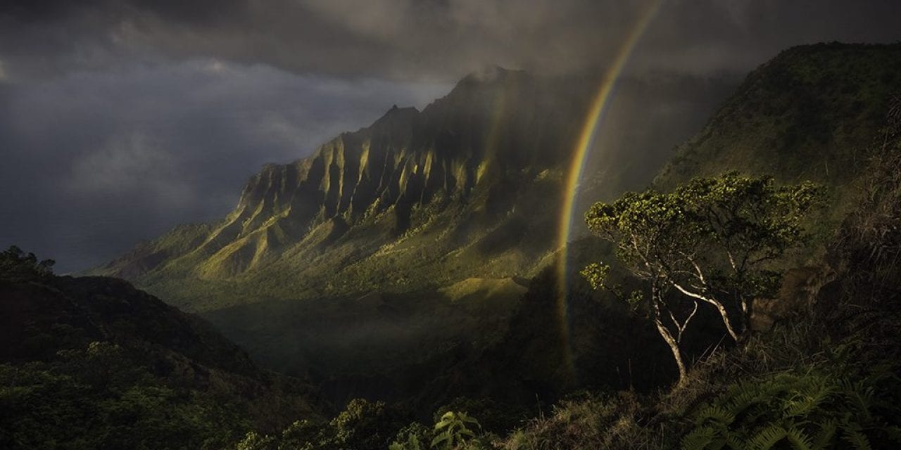 2019 The American Landscape Contest Finalists