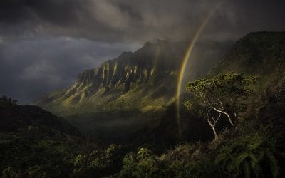 2019 The American Landscape Contest Finalists