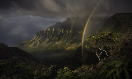 2019 The American Landscape Contest Finalists