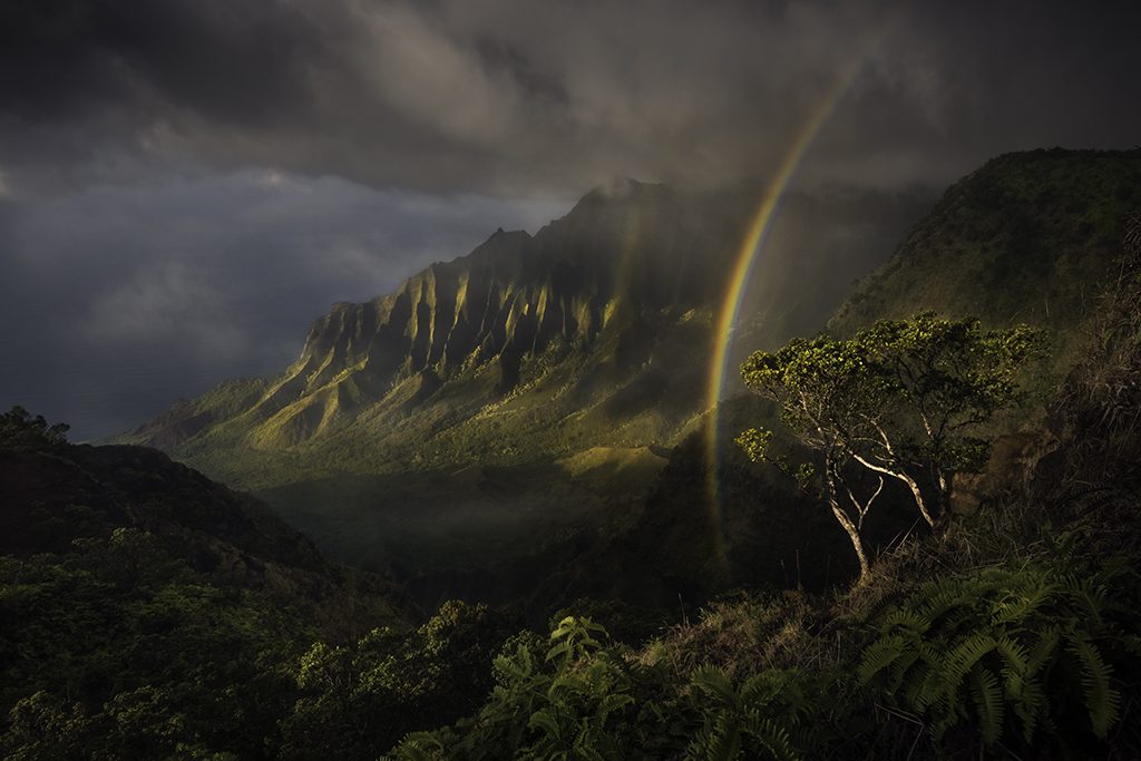 Jurassic by Matt Meisenheimer