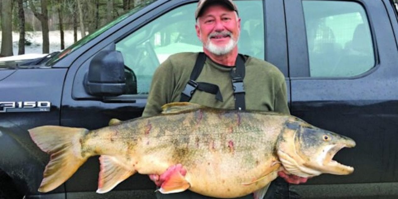 37-Pound New England Lake Trout Shatters 62-Year Old State Record