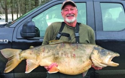 37-Pound New England Lake Trout Shatters 62-Year Old State Record