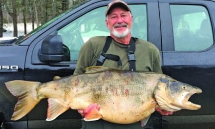 37-Pound New England Lake Trout Shatters 62-Year Old State Record