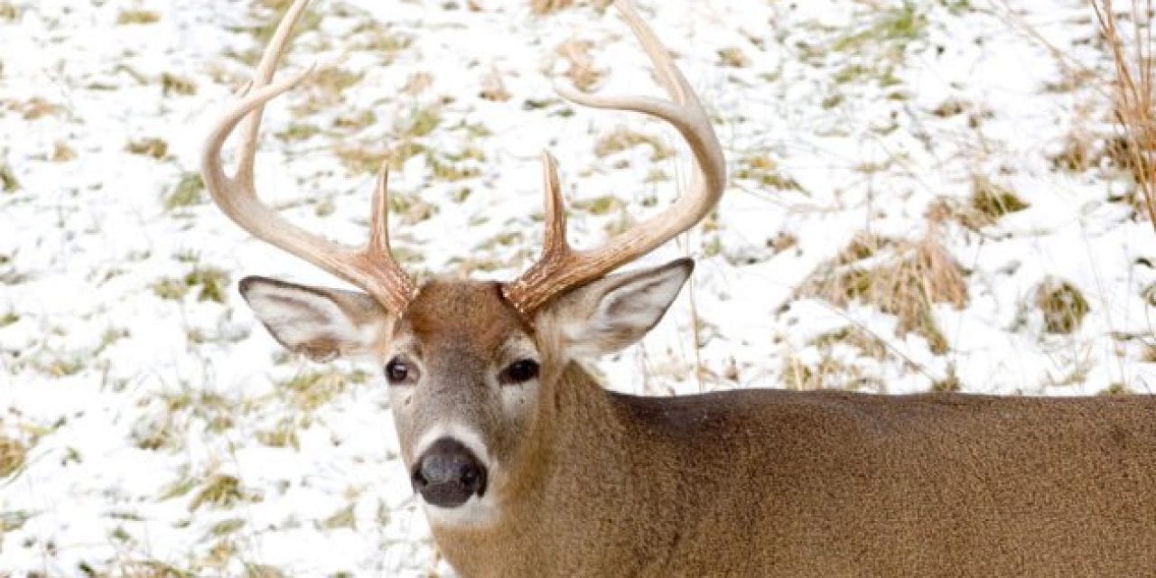 5 Best Places to Hunt in Ohio