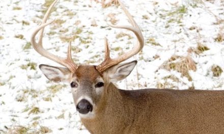 5 Best Places to Hunt in Ohio