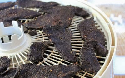 5 Best Venison Jerky Recipes to Enjoy This Offseason