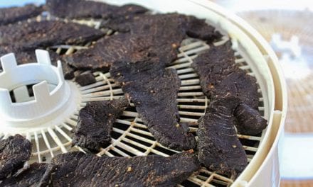 5 Best Venison Jerky Recipes to Enjoy This Offseason