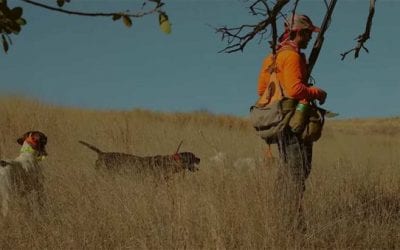 6 Great Outdoor Videos to Take Your Mind Off Things