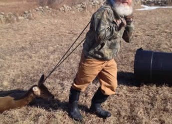 Six Reasons Why Deer Hunting on Block Island is Not So Easy