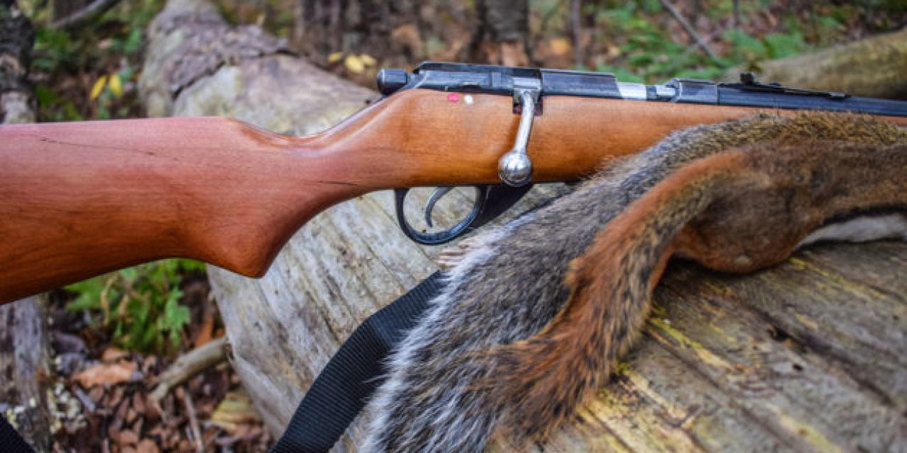 9 Best Rifles for Predator and Varmint Hunting