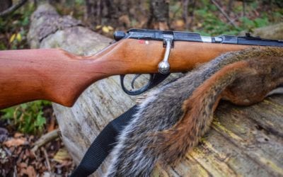 9 Best Rifles for Predator and Varmint Hunting