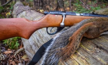 9 Best Rifles for Predator and Varmint Hunting