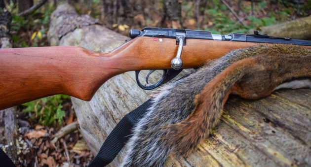 varmint rifle