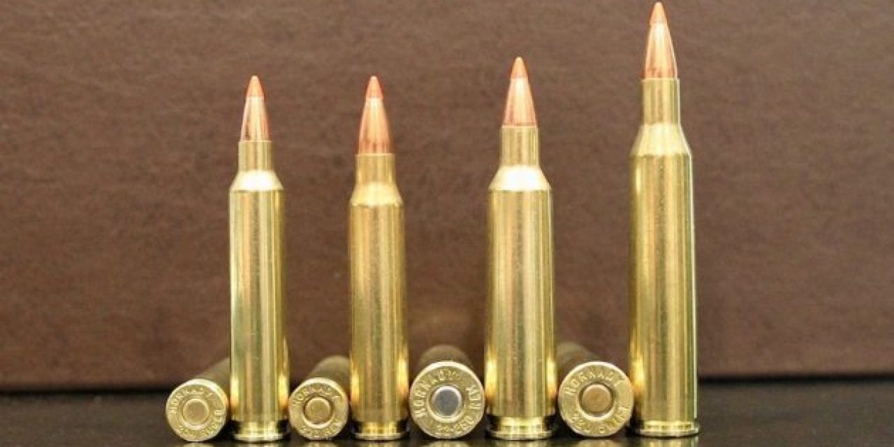 9 Rifle Cartridges With the Fastest Bullet Velocity