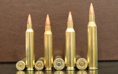 9 Rifle Cartridges With the Fastest Bullet Velocity