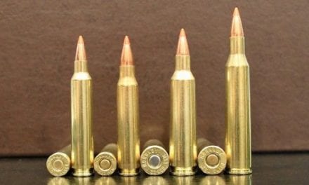 9 Rifle Cartridges With the Fastest Bullet Velocity