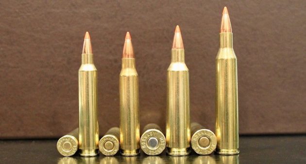 picture of 9 Rifle Cartridges With the Fastest Bullet Velocity 204 ruger 22-250 223 220 swift