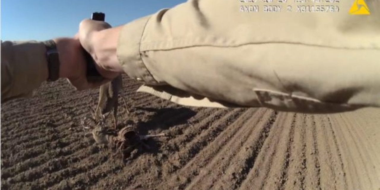 Body Cam Captures Kansas Game Warden Freeing Two Locked Bucks With His Glock