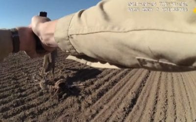 Body Cam Captures Kansas Game Warden Freeing Two Locked Bucks With His Glock