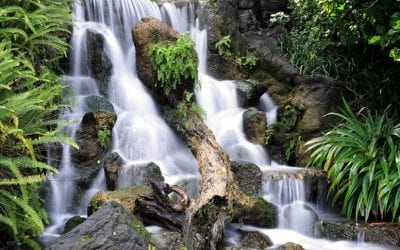 Hasselblad X1D II For Landscape Photography