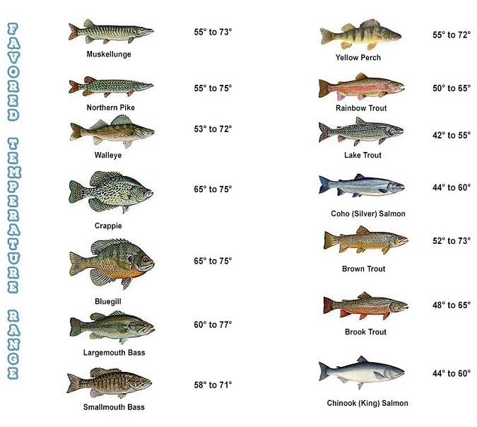 mister twister - How Water Temperature and Oxygen Affect Fishing