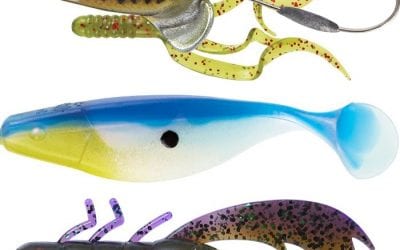How Water Temperature and Oxygen Affect Fishing