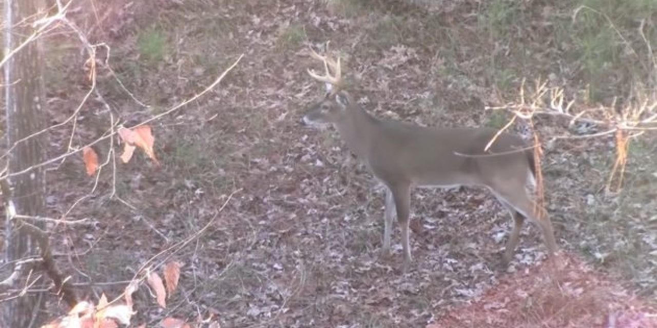 Hunter Bags Big Buck With a Glock 10mm