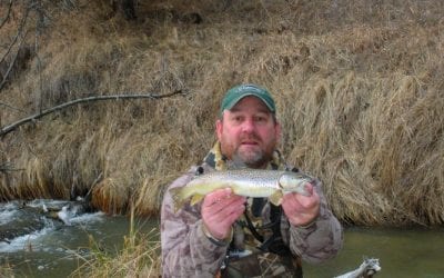 Ice is Gone, Water is Cold, Now What?