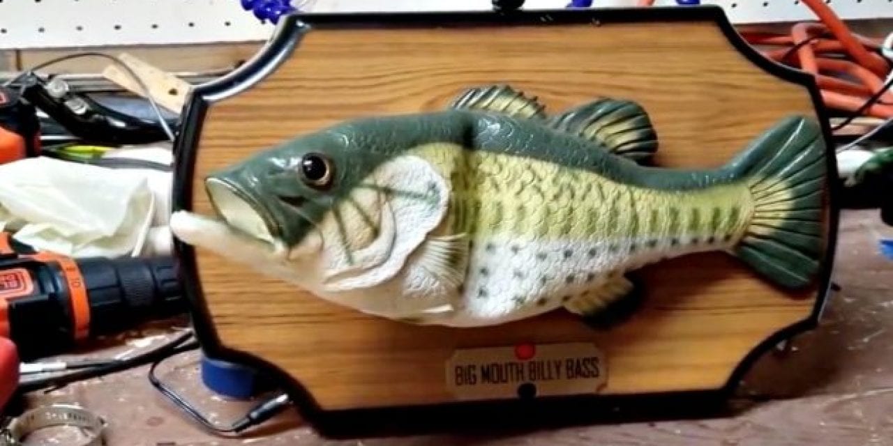 Man Connects His Alexa to His Billy Bass and It’s Hilarious