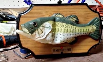 Man Connects His Alexa to His Billy Bass and It’s Hilarious