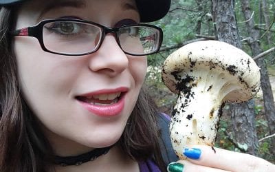 Matsutake Heaven