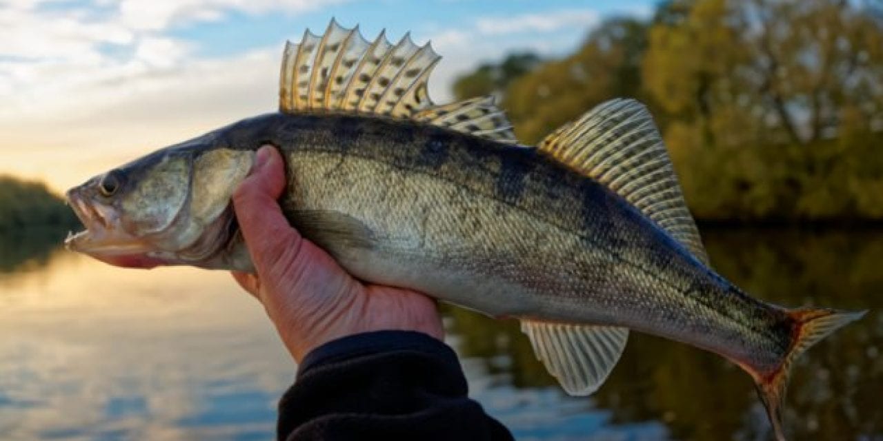 Michigan DNR Shuts Down Fishing Guides and Charters Until April Over COVID-19 Concerns