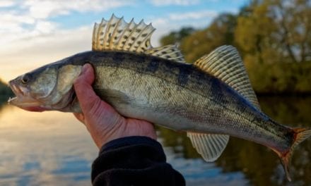 Michigan DNR Shuts Down Fishing Guides and Charters Until April Over COVID-19 Concerns