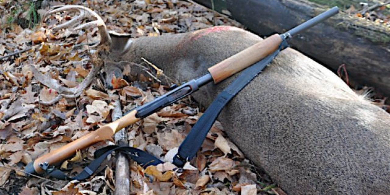 Minnesota Mulling Over Eliminating Shotgun Zones for Deer Hunting