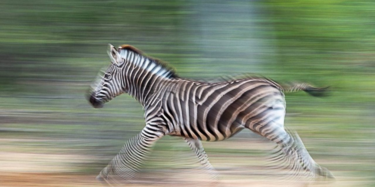 Motion Blur Assignment Winner Terrence Trevias