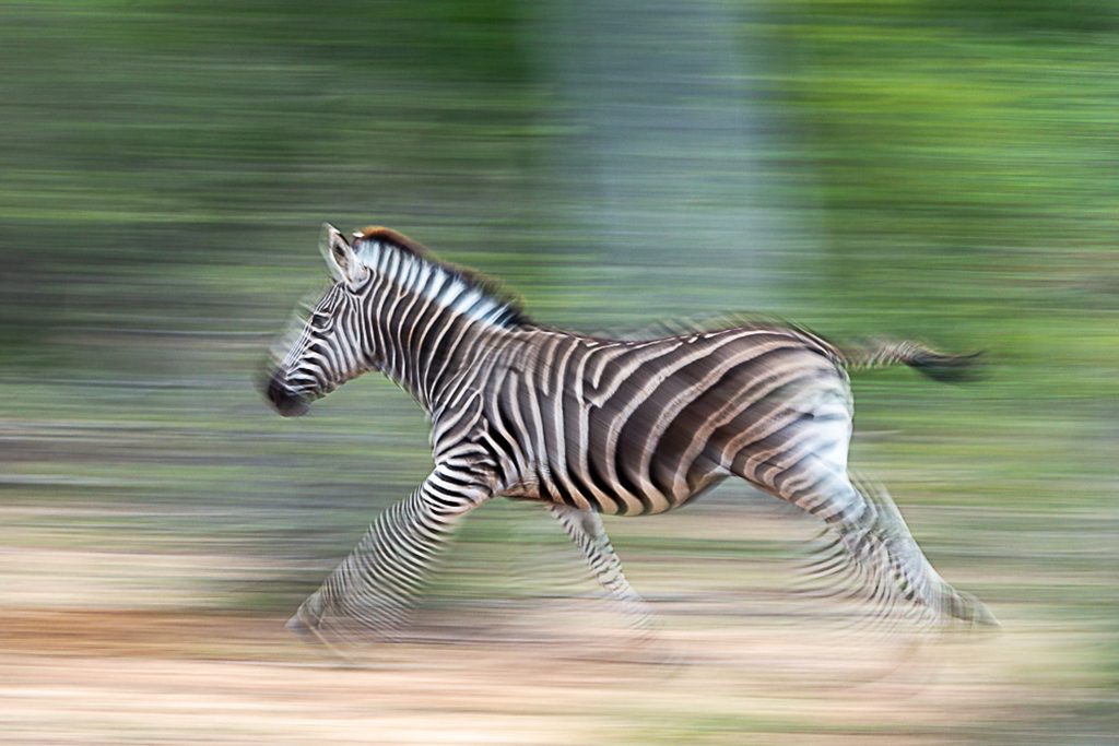 Motion Blur Assignment Winner Terrence Trevias