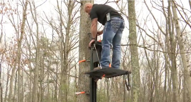 Motorized Treestand