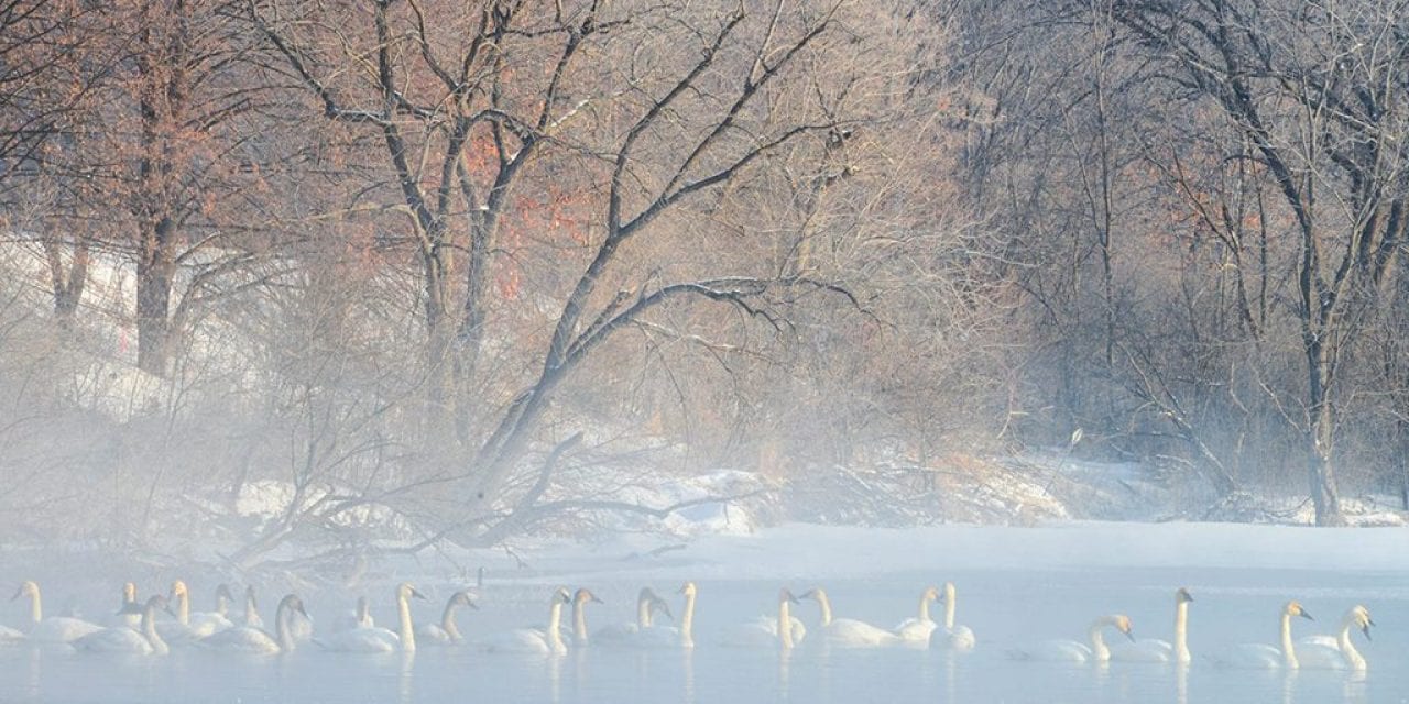 Photo Of The Day By Laura Schoenbauer