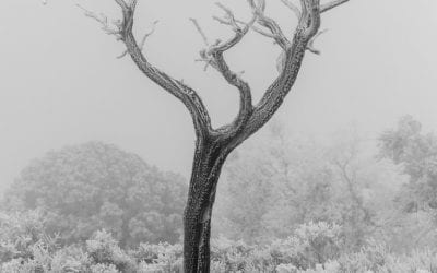 Photo Of The Day By Timothy Minnick