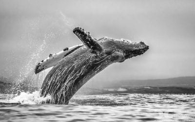 Photos Of The Day For February 2020