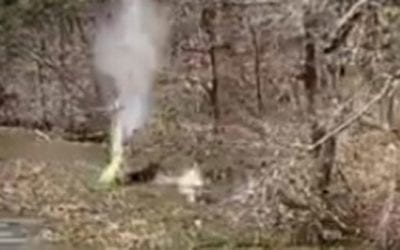 Shots Fired at a Buck Swimming Between Two Bass Boats?