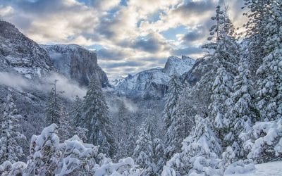 Snow And Ice Scenes Assignment Winner Gary Fua