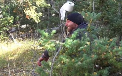 The Best Way to Take a Dump in the Woods